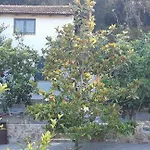 White Manolia * 卡托克拉克阿纳