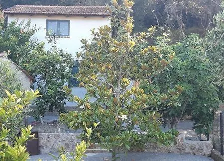 White Manolia * Κάτω Κορακιάνα